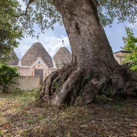 Trulli Foggia Dell'albero