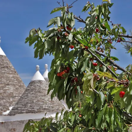 Casa vacanze Trulli Foggia Dell'albero